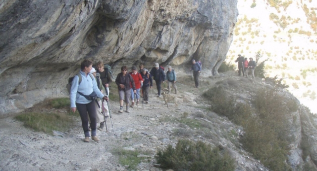 grupo de personas realizando senderismo con palos